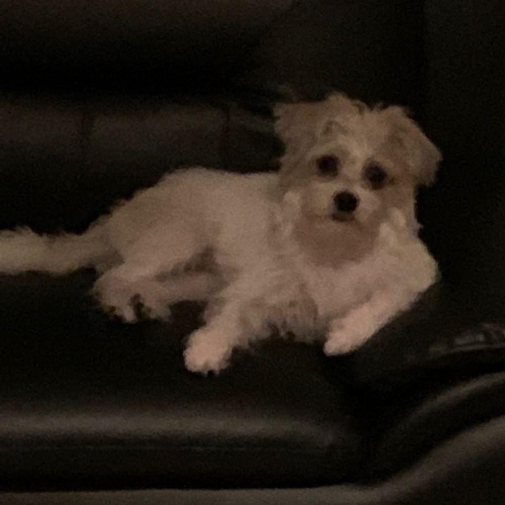 Meet your Posher, Lourdes
